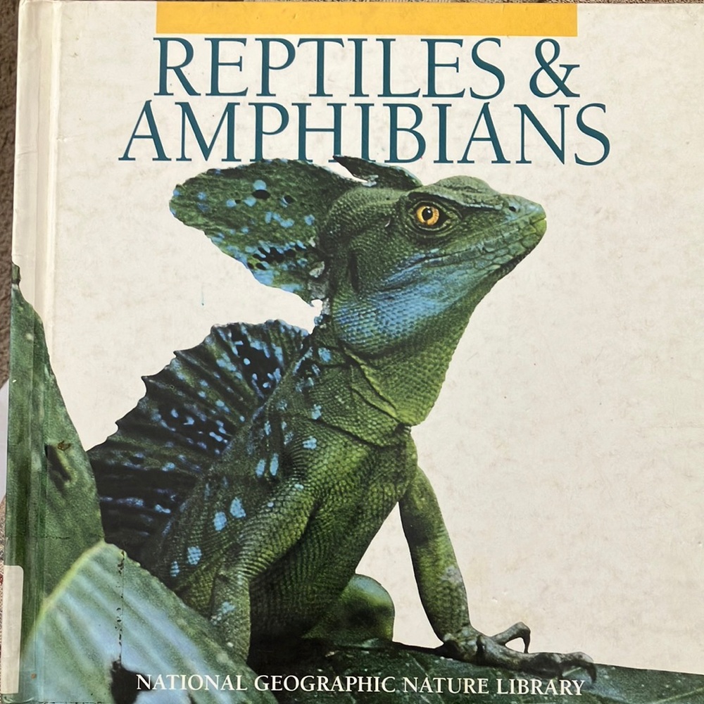 Reptiles and amphibians